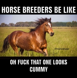 Horse Breeder Memes